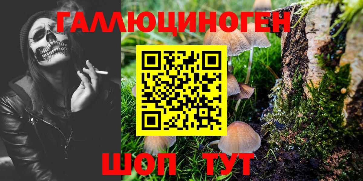 Псилоцибиновые грибы Magic Shrooms Киров
