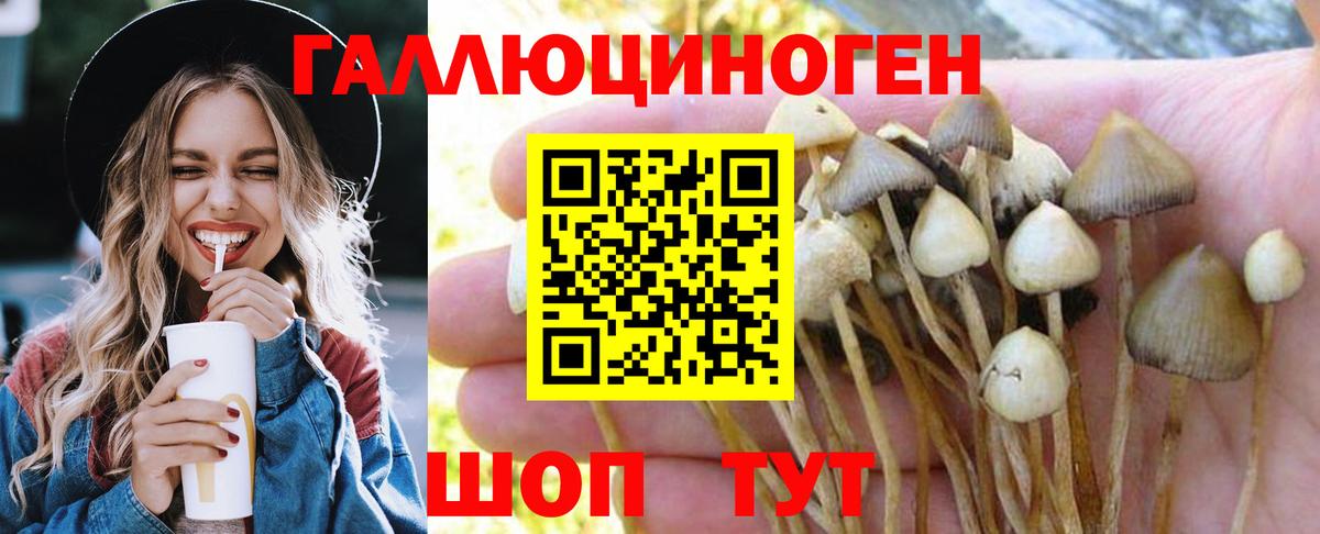Псилоцибиновые грибы ЛСД  дарнет шоп  Псилоцибиновые грибы ЛСД  Киров  Вход с VPN 